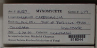 Image Associated With the Occurence